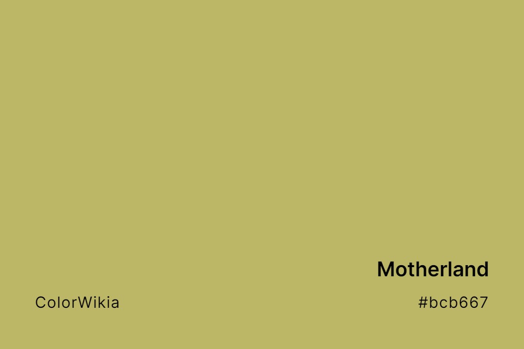 Motherland Color – #bcb667: Codes and Complete Breakdown