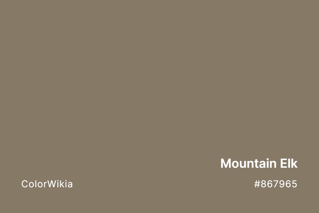 mountain elk color 867965