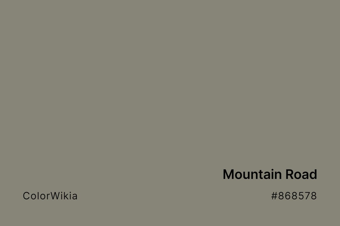 mountain road color 868578