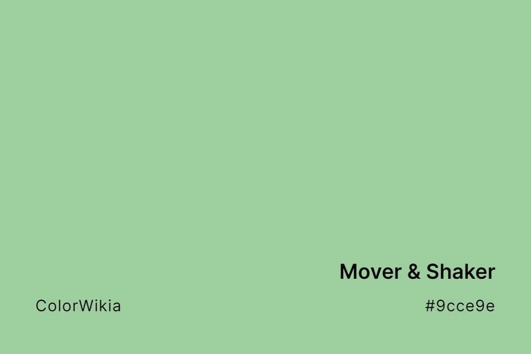 movershaker color 9cce9e