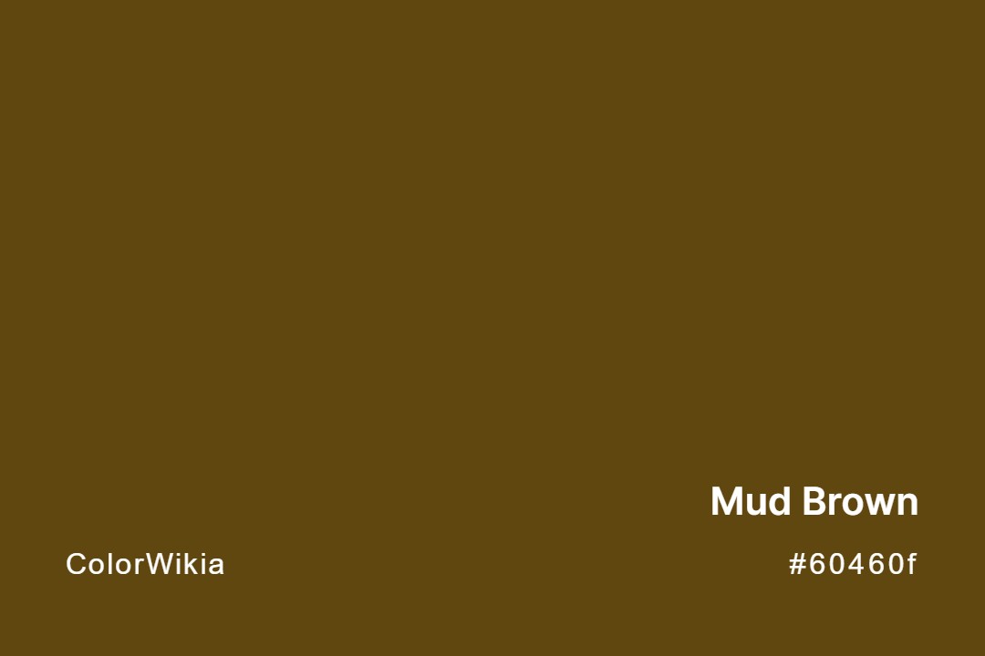 mud brown color 60460f