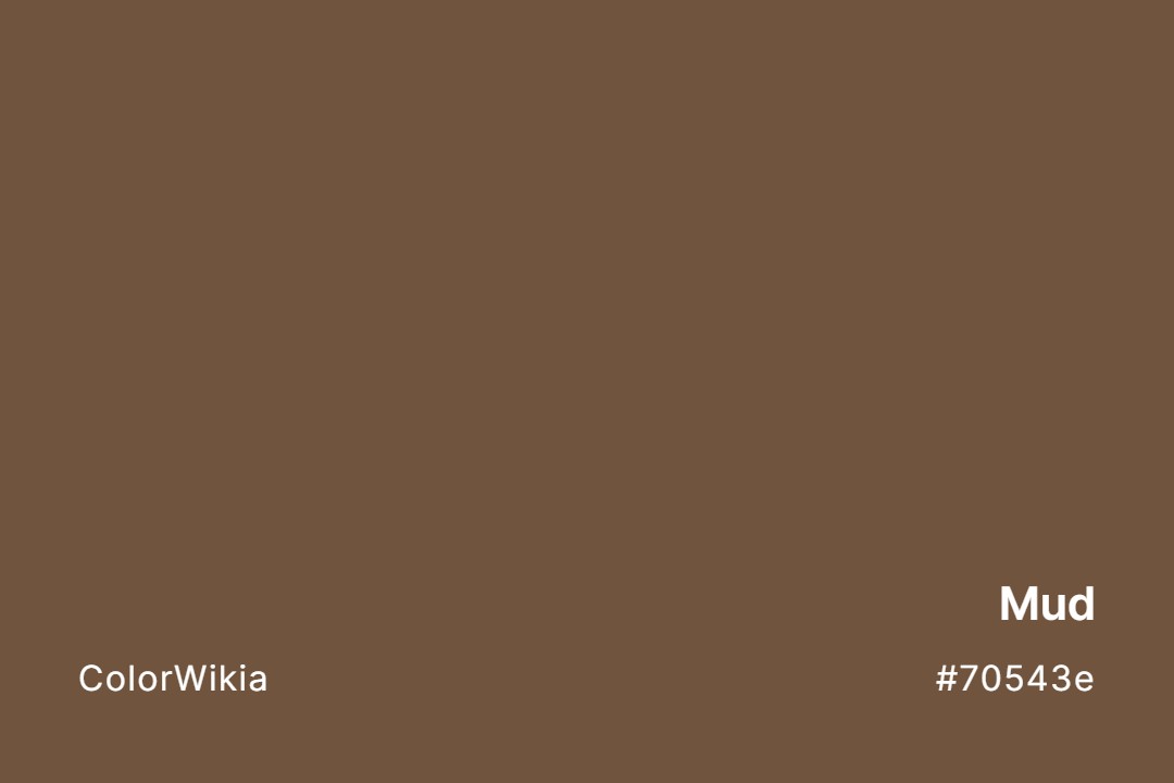 mud color 70543e