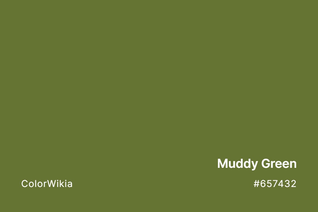 muddy green color 657432