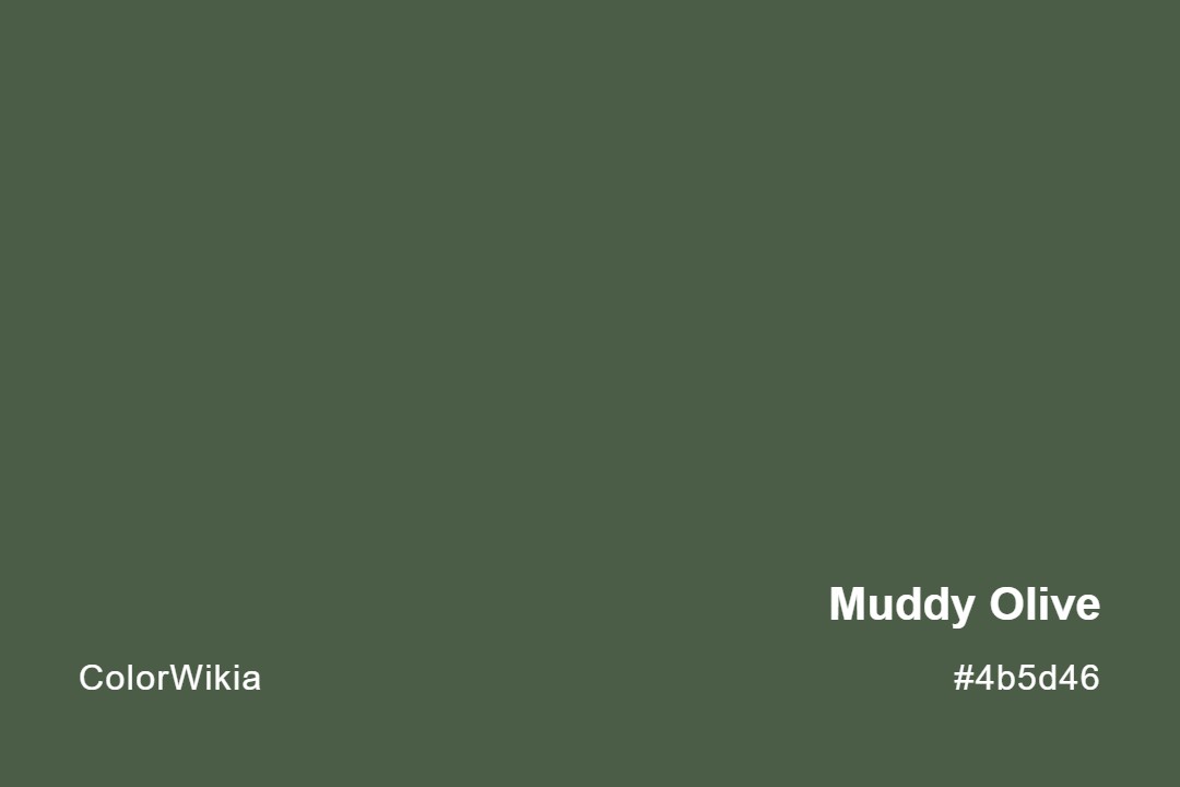 muddy olive color 4b5d46