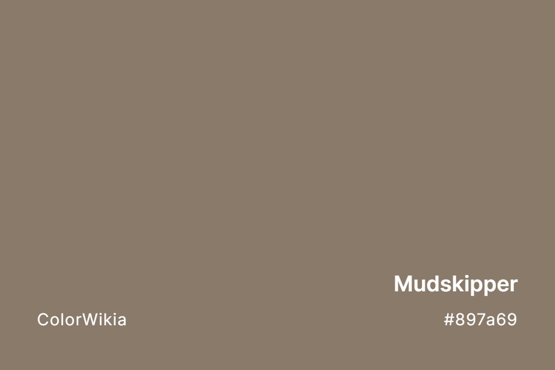 Mudskipper Color – #897a69: Codes and Complete Breakdown