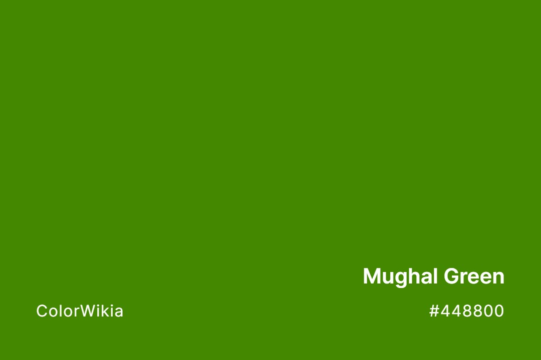 Mughal Green Color – #448800: Codes and Complete Breakdown