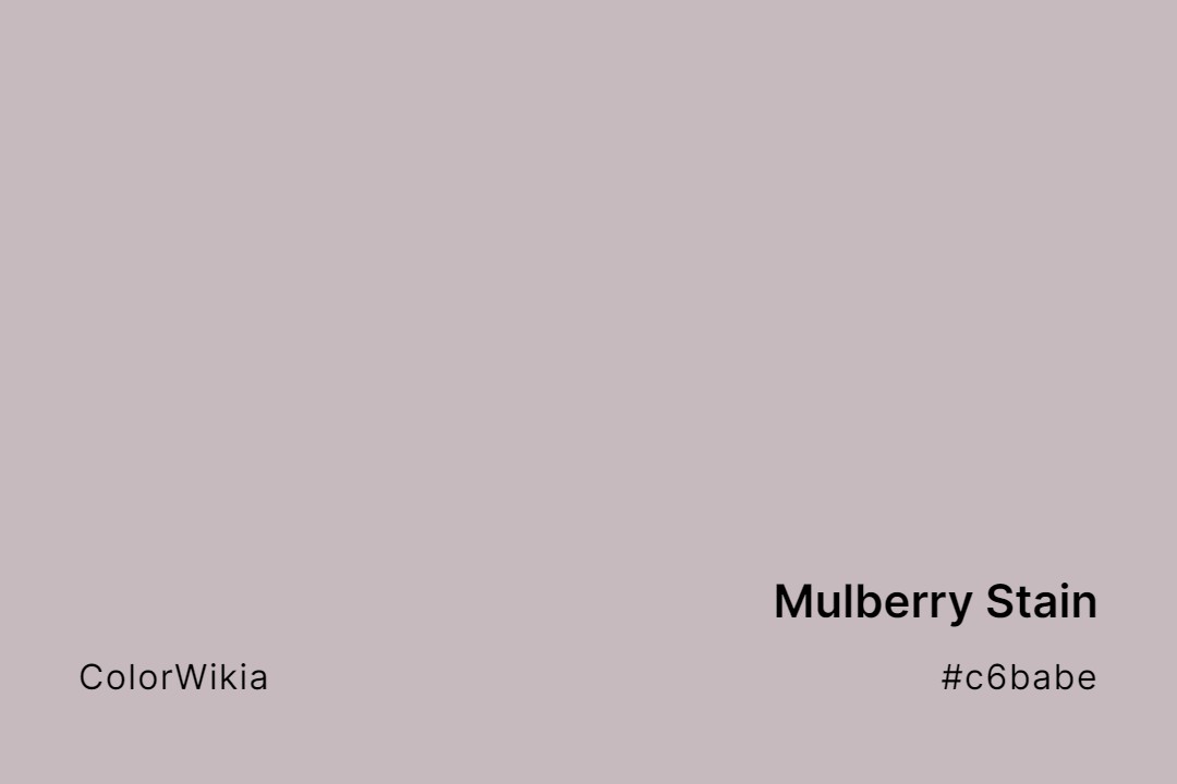 mulberry stain color c6babe