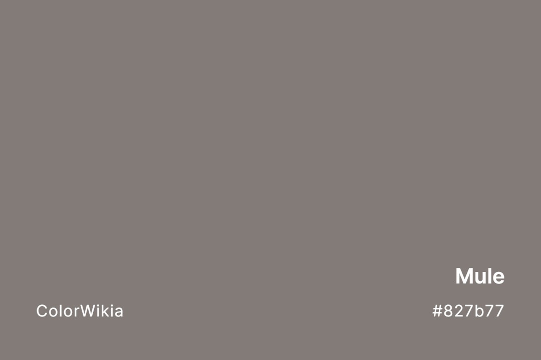 mule color 827b77