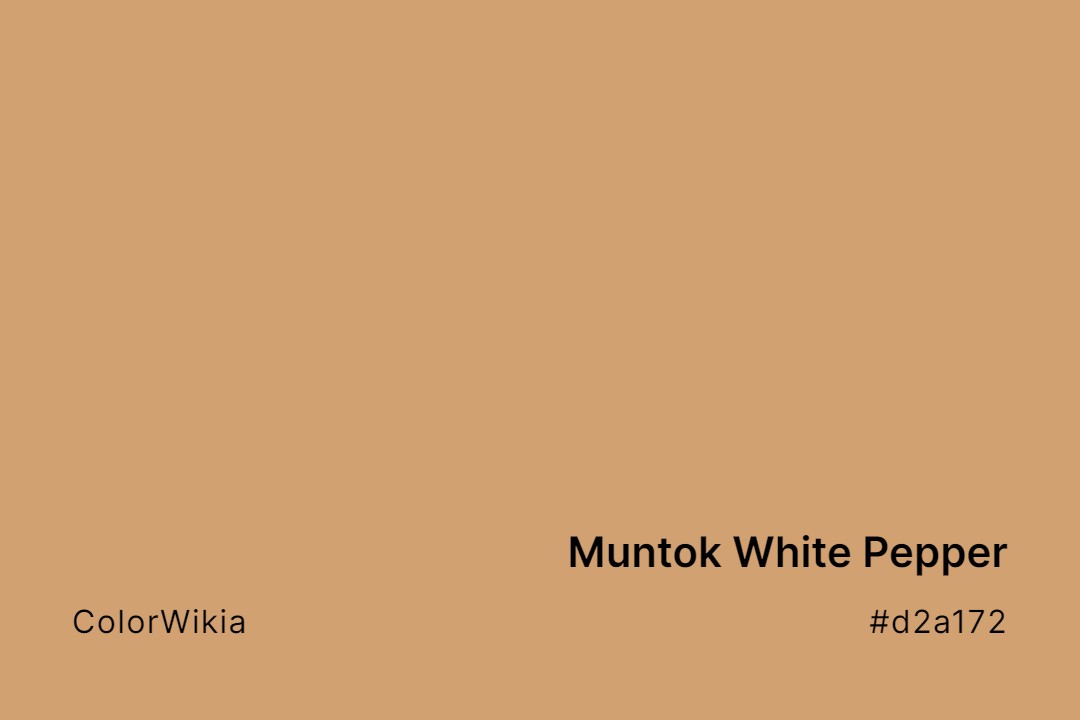muntok white pepper color d2a172