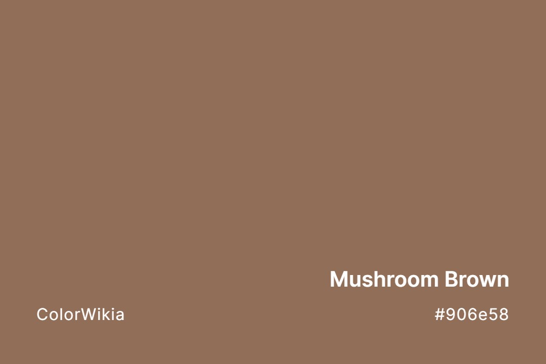 mushroom brown color 906e58