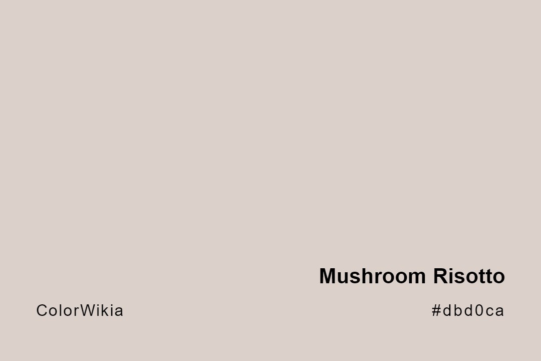 mushroom risotto color dbd0ca