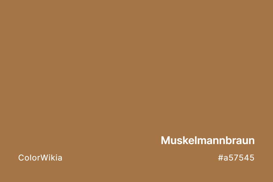 Muskelmannbraun Color – #a57545: Codes and Complete Breakdown