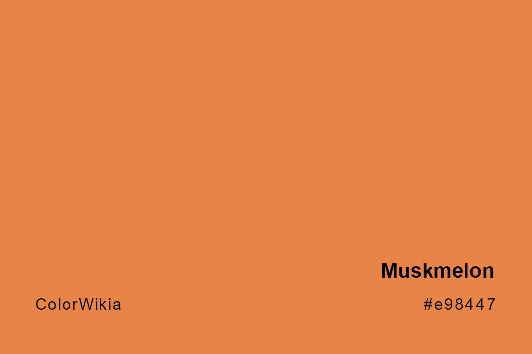 Muskmelon Color – #e98447: Codes and Complete Breakdown