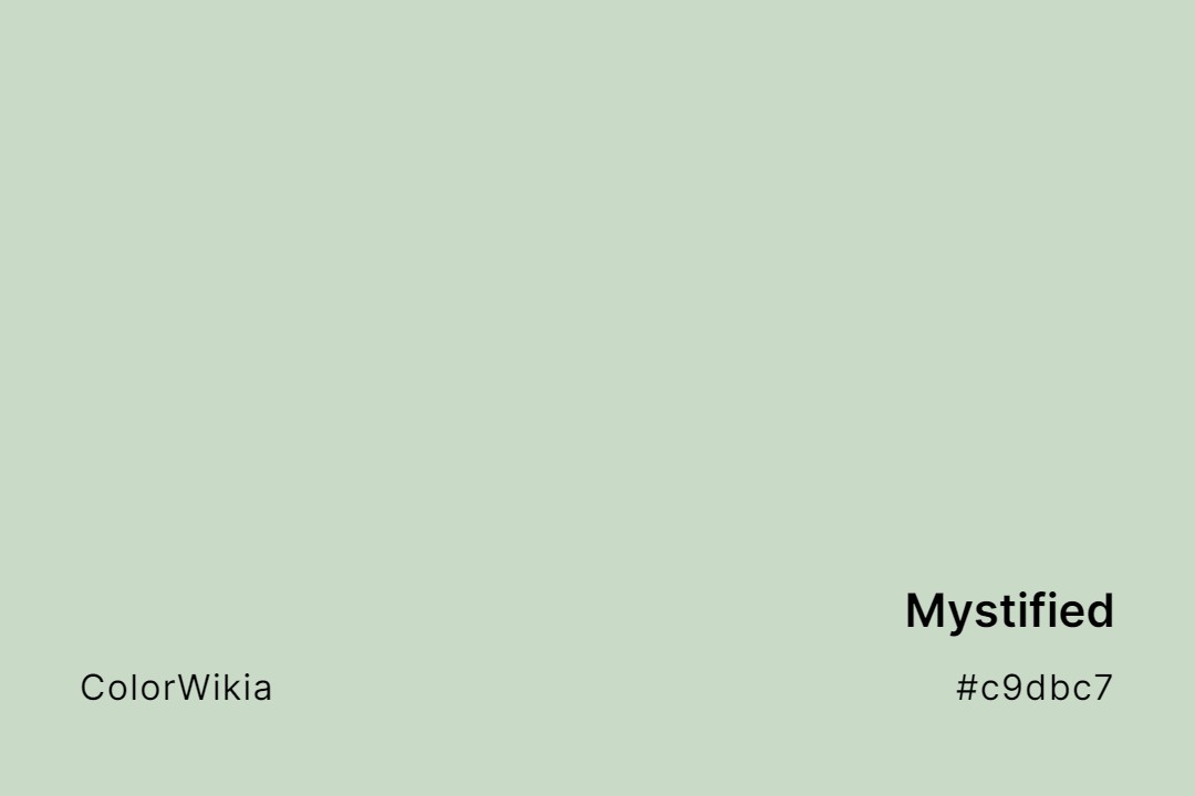 Mystified Color – #c9dbc7: Codes and Complete Breakdown