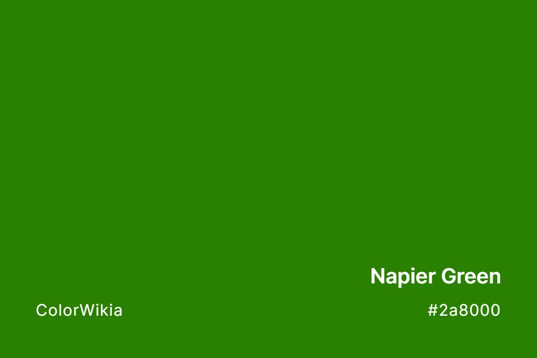 Napier Green Color – #2a8000: Codes and Complete Breakdown
