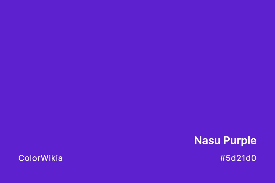 Nasu Purple Color – #5d21d0: Codes and Complete Breakdown