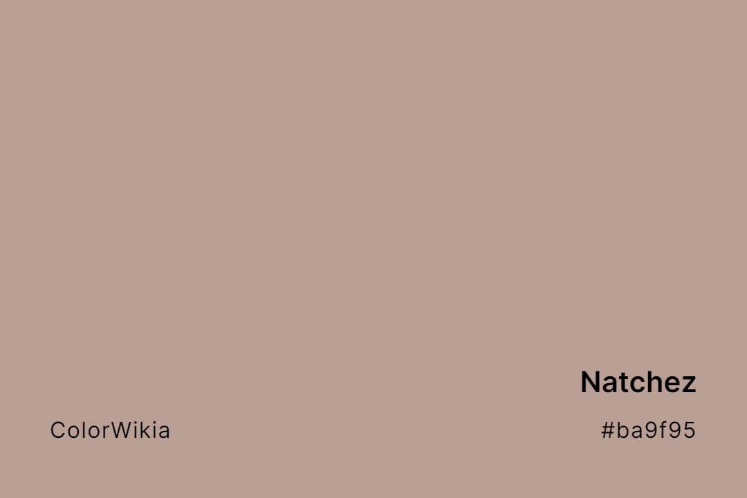 Natchez Color – #ba9f95: Codes and Complete Breakdown