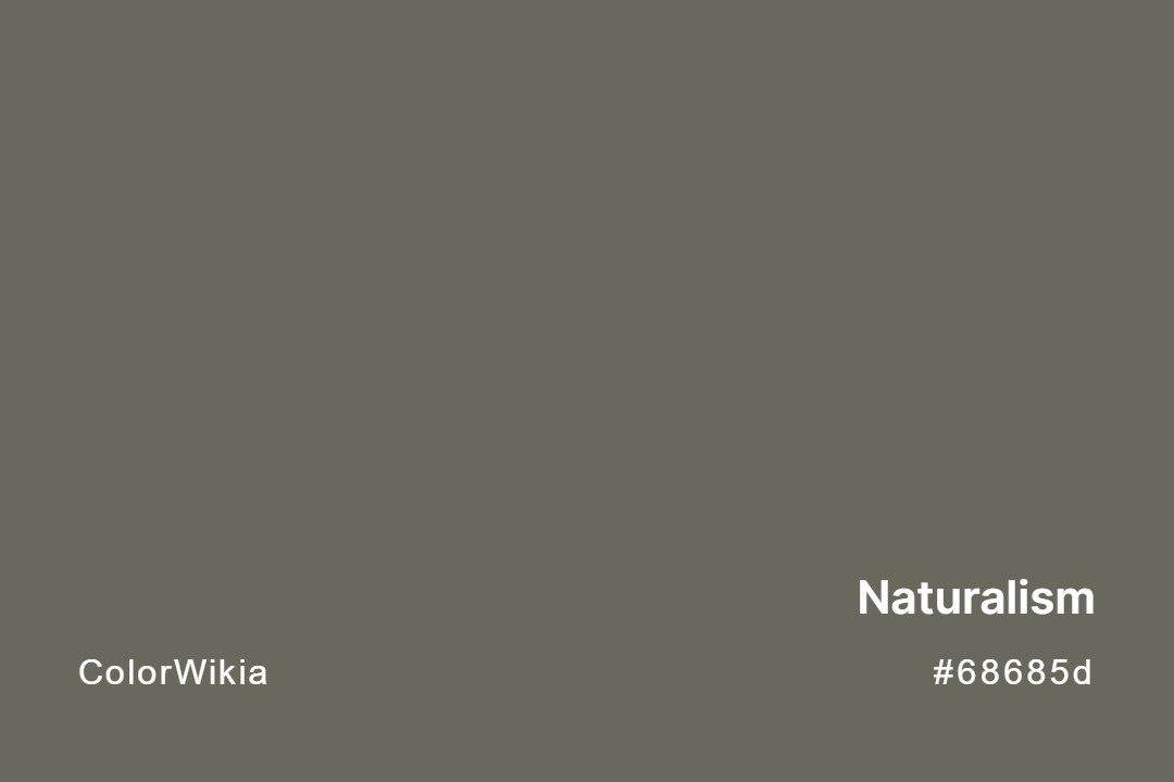 Naturalism Color – #68685d: Codes and Complete Breakdown