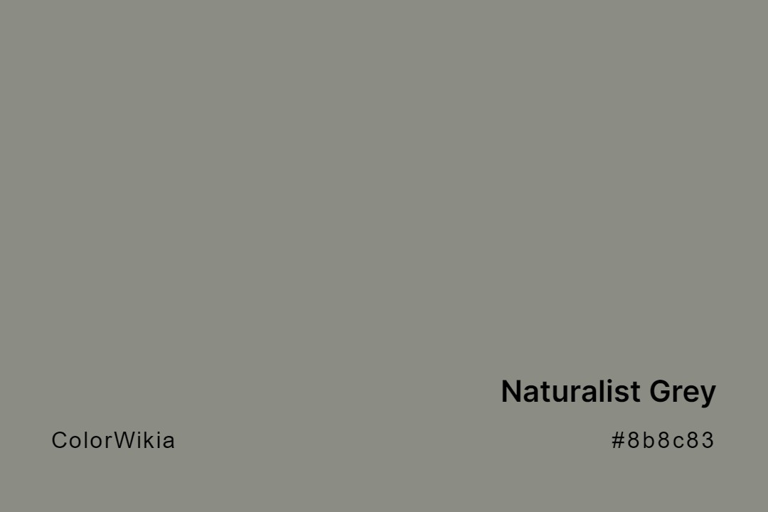 Naturalist Grey Color – #8b8c83: Codes and Complete Breakdown