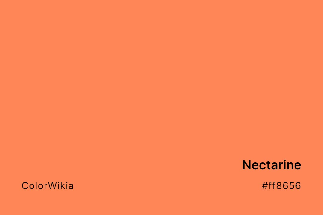 nectarine color ff8656