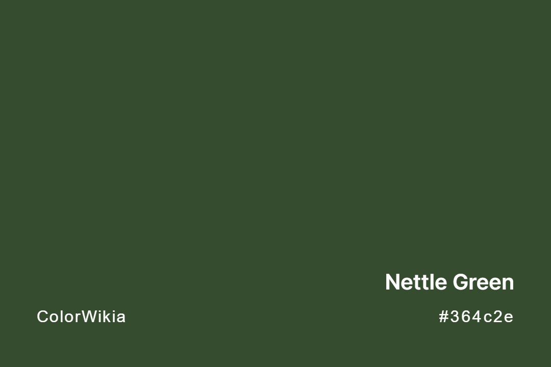 nettle green color 364c2e