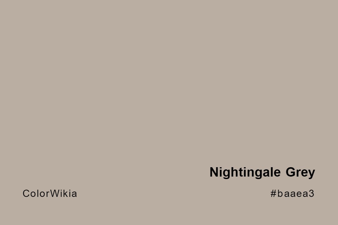 Nightingale Grey Color – #baaea3: Codes and Complete Breakdown