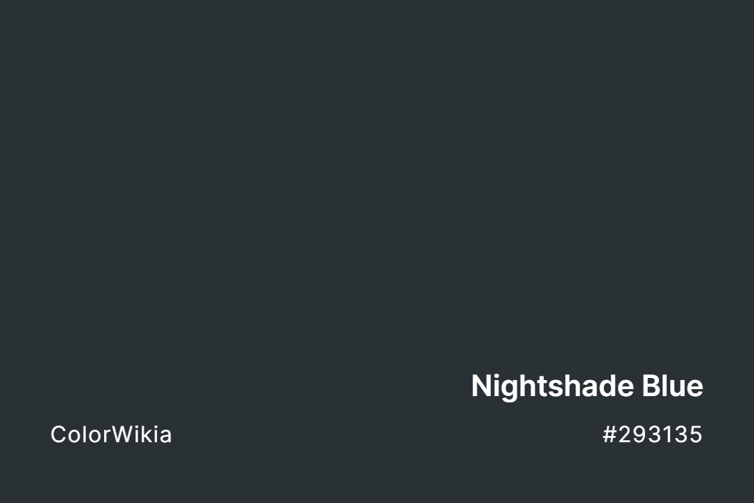 nightshade blue color 293135