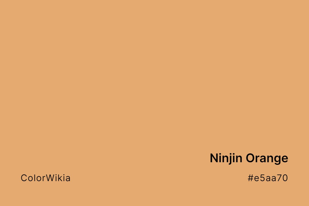 Ninjin Orange Color – #e5aa70: Codes and Complete Breakdown