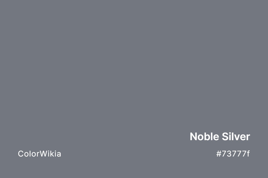 noble silver color 73777f
