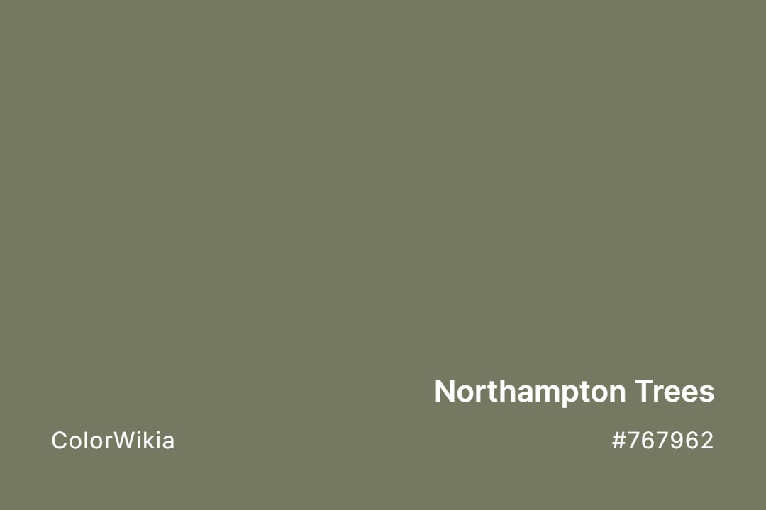 northampton trees color 767962