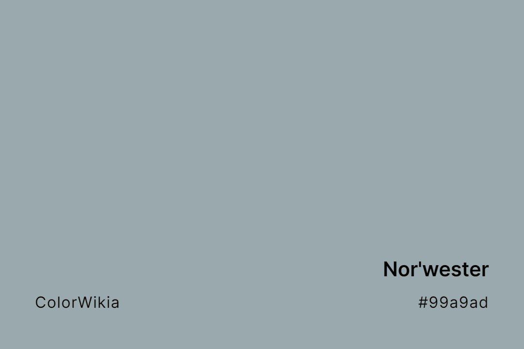 Nor’wester Color – #99a9ad: Codes and Complete Breakdown