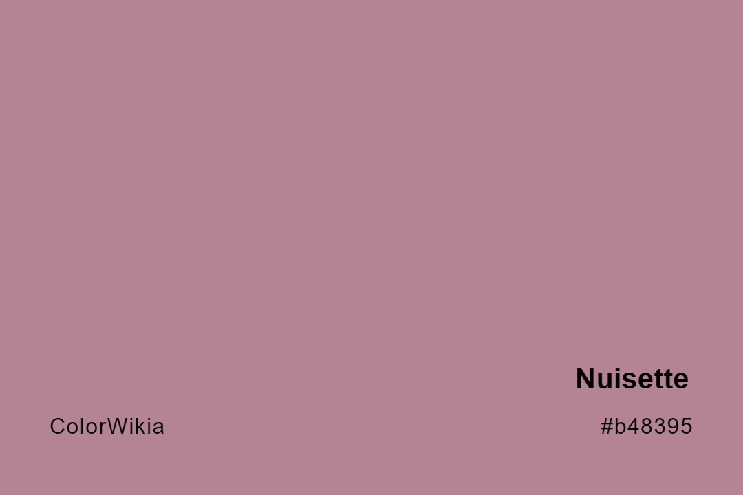Nuisette Color – #b48395: Codes and Complete Breakdown