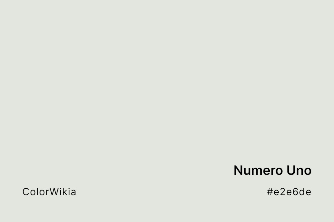 Numero Uno Color – #e2e6de: Codes and Complete Breakdown