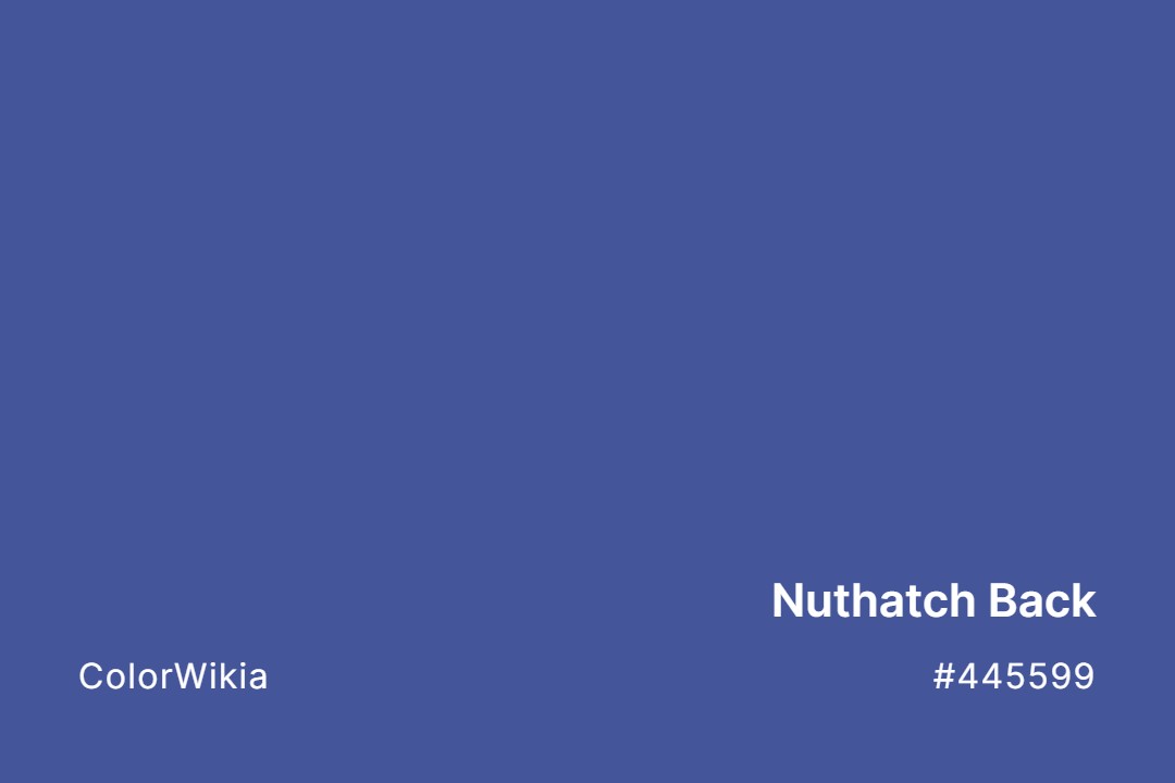 Nuthatch Back Color – #445599: Codes and Complete Breakdown