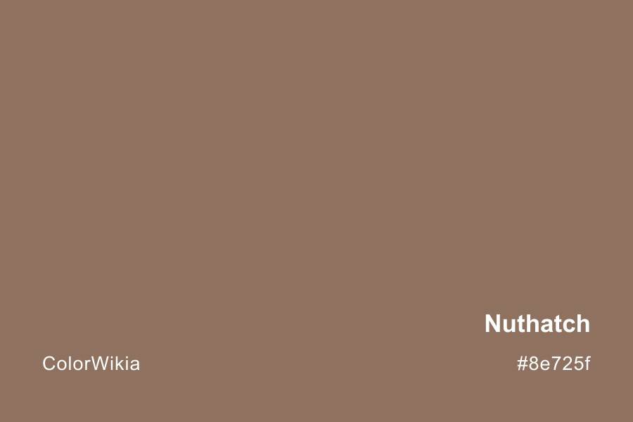 Nuthatch Color – #8e725f: Codes and Complete Breakdown