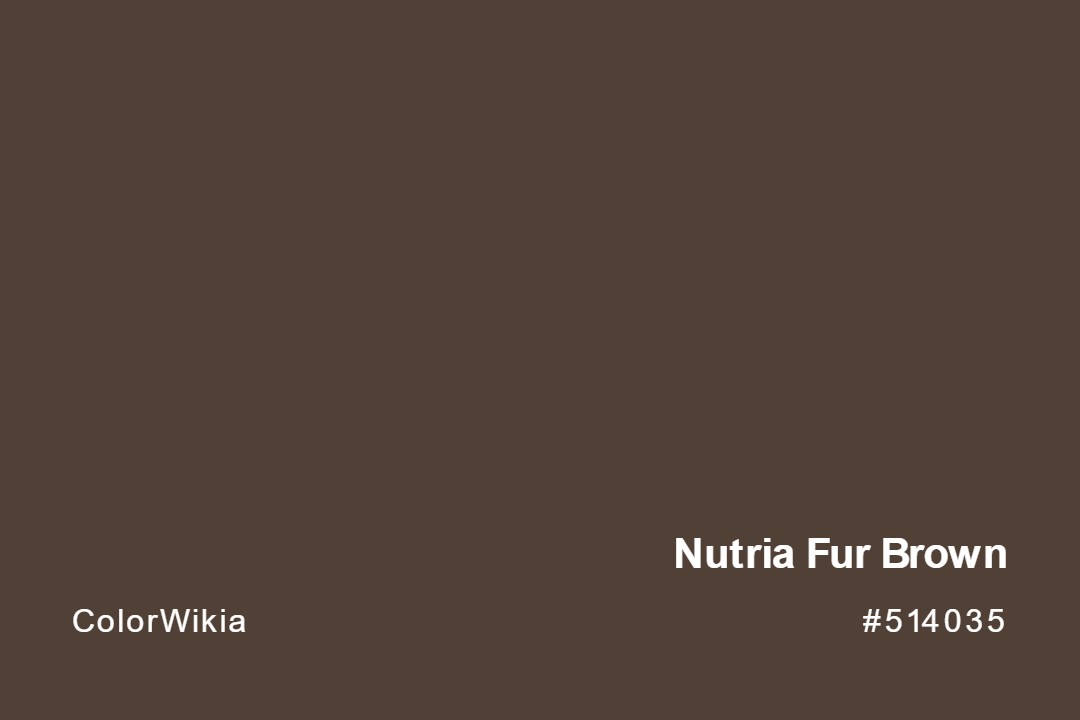 nutria fur brown color 514035