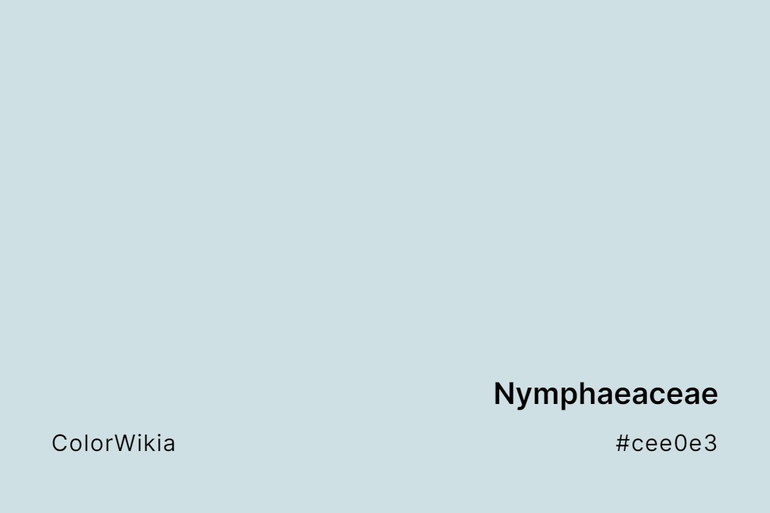 Nymphaeaceae Color – #cee0e3: Codes and Complete Breakdown