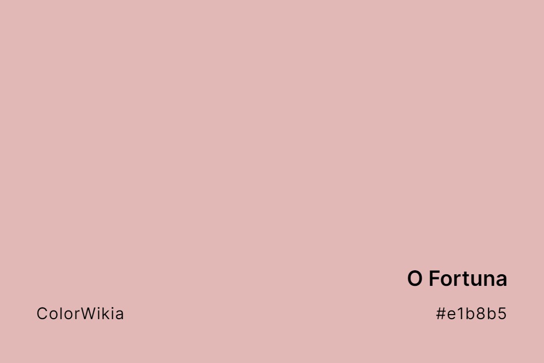 O Fortuna Color – #e1b8b5: Codes and Complete Breakdown