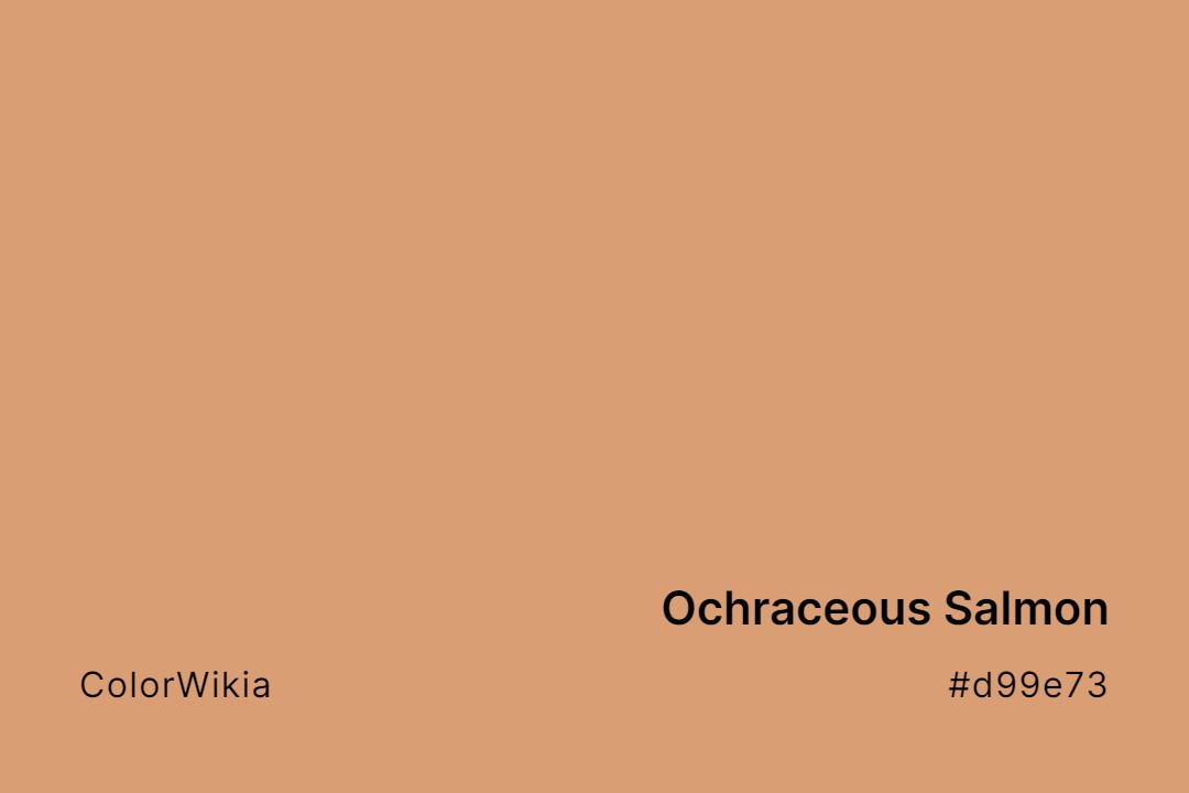 ochraceous salmon color d99e73