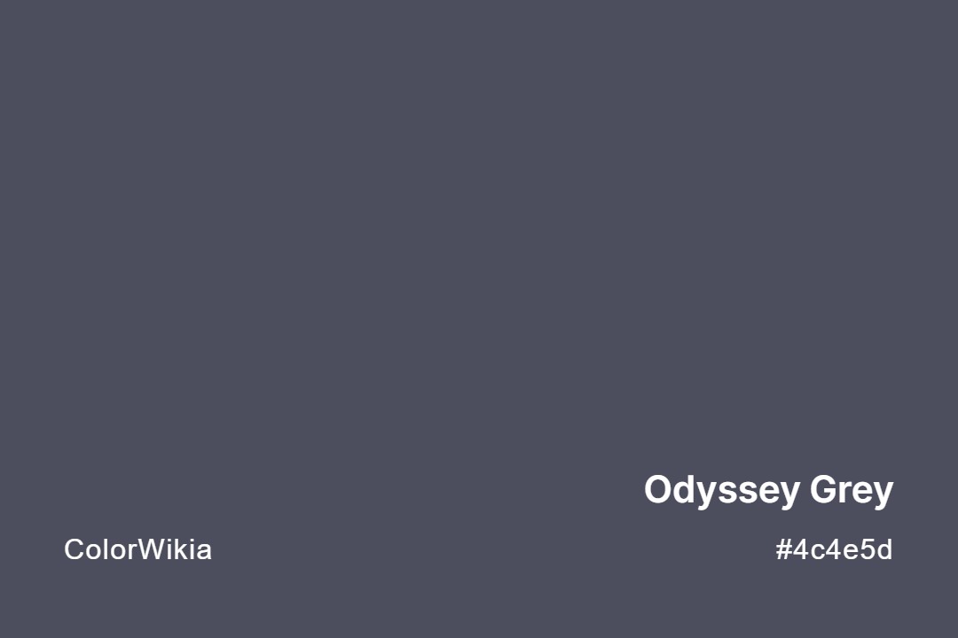 odyssey grey color 4c4e5d