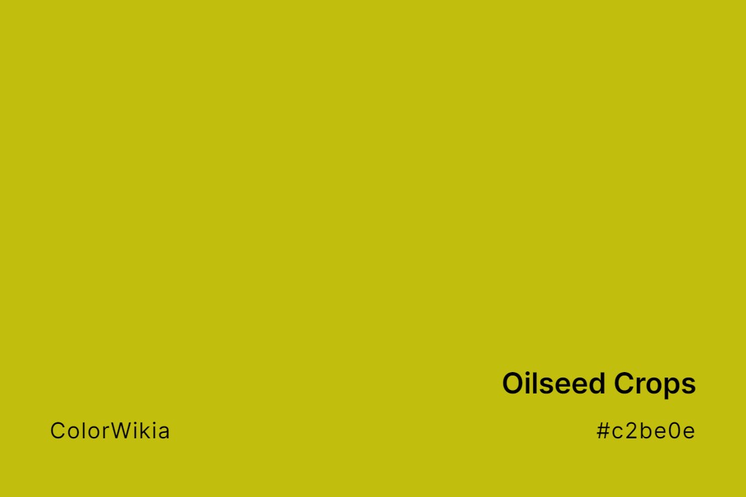 Oilseed Crops Color – #c2be0e: Codes and Complete Breakdown