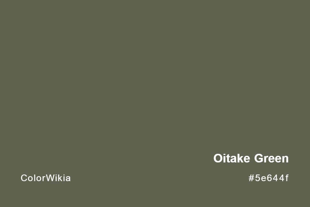 Oitake Green Color – #5e644f: Codes and Complete Breakdown