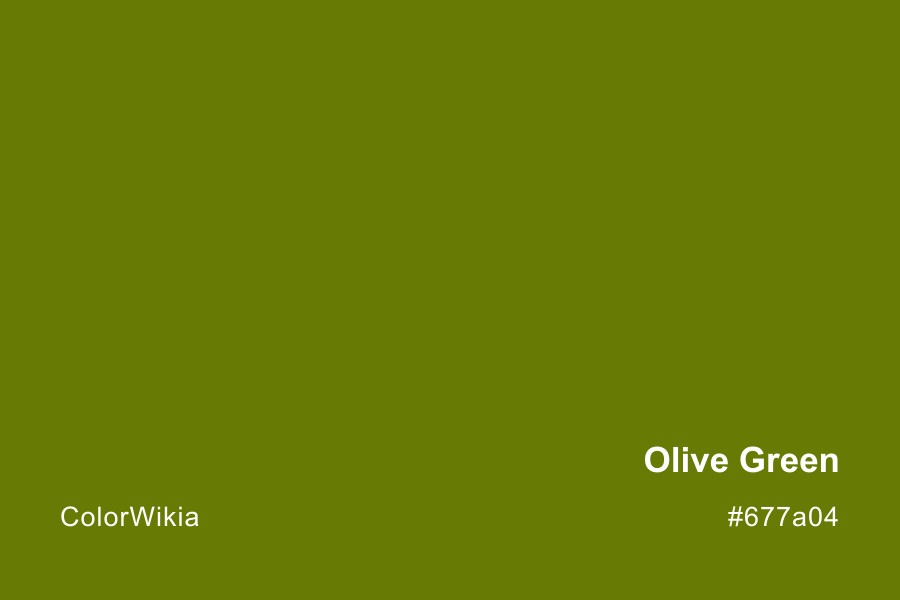 olive green color 677a04