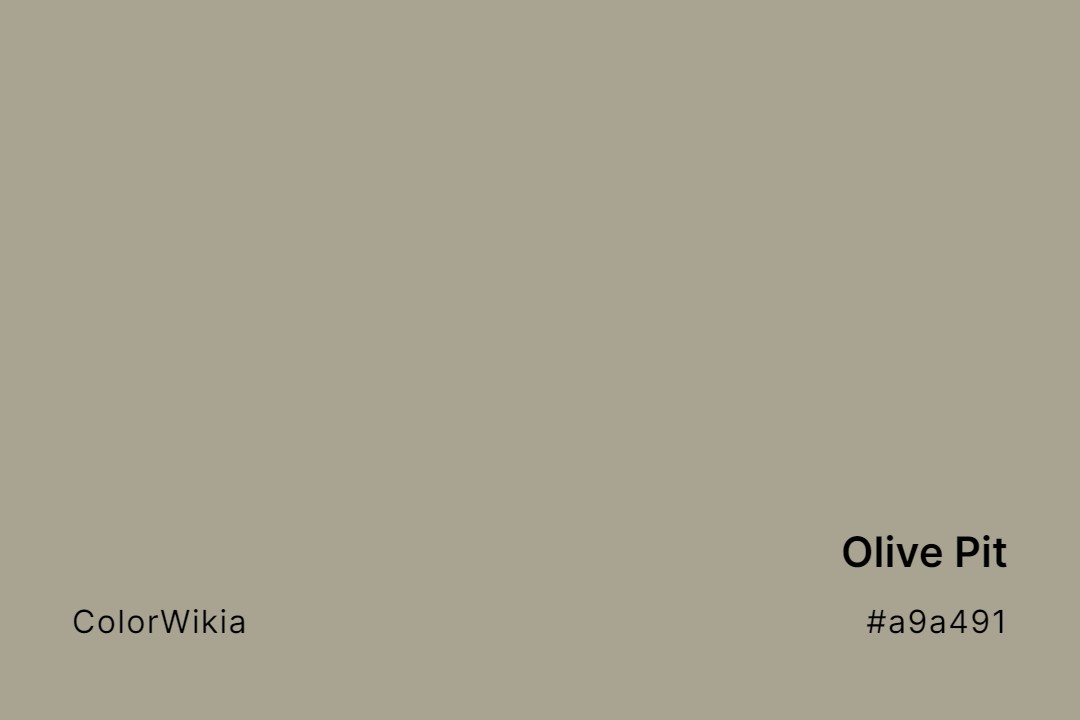 olive pit color a9a491