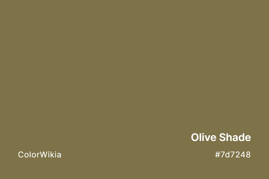 olive shade color 7d7248