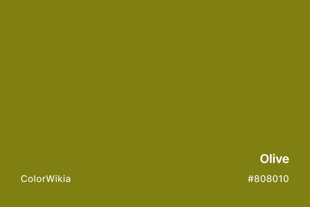 olive color 808010
