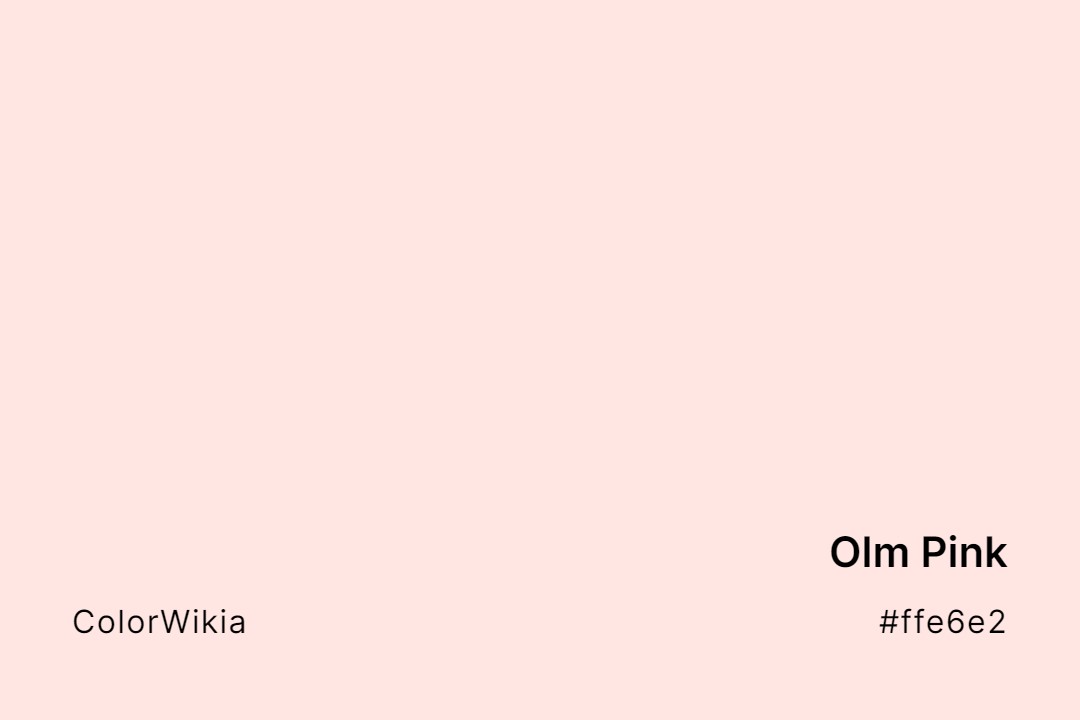Olm Pink Color – #ffe6e2: Codes and Complete Breakdown