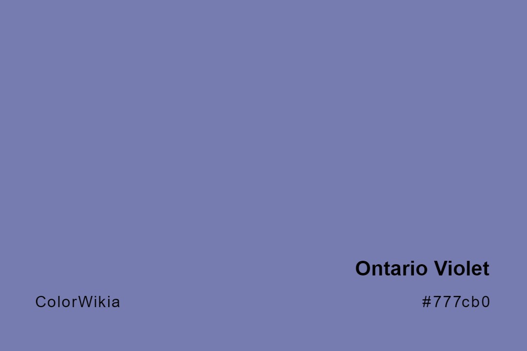 Ontario Violet Color – #777cb0: Codes and Complete Breakdown