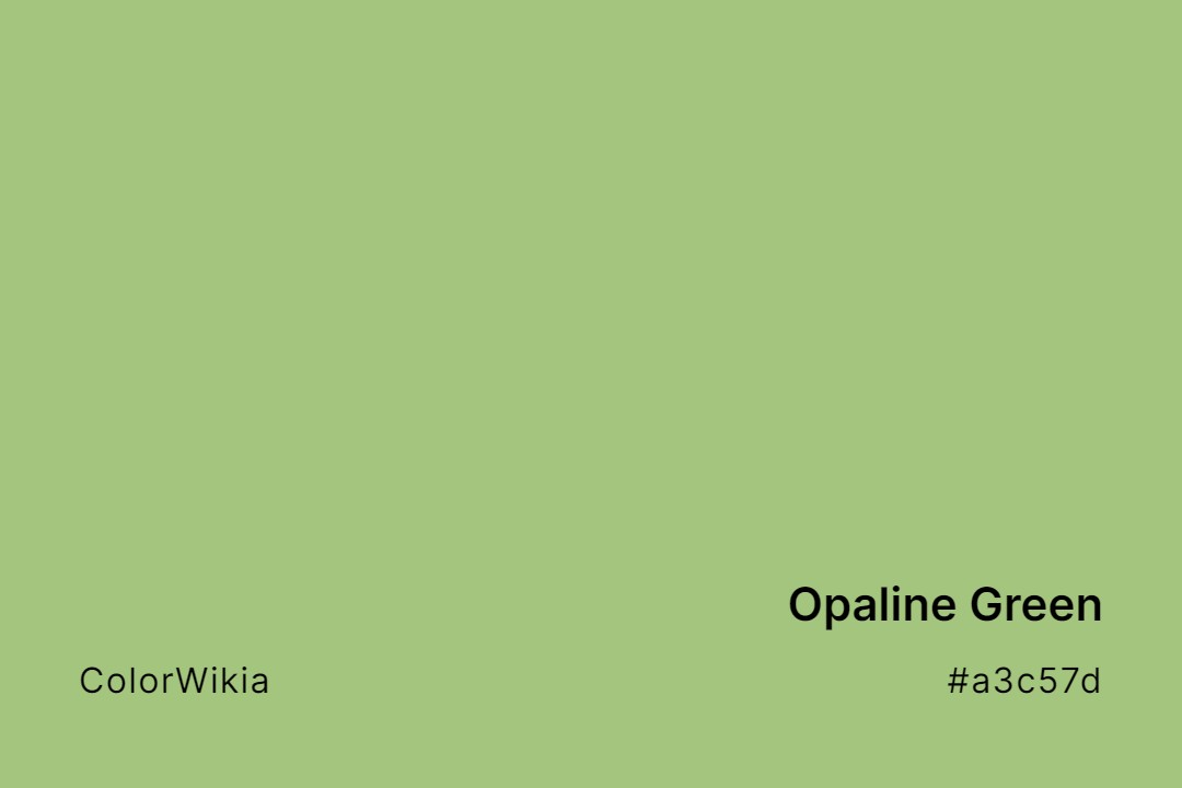 Opaline Green Color – #a3c57d: Codes and Complete Breakdown