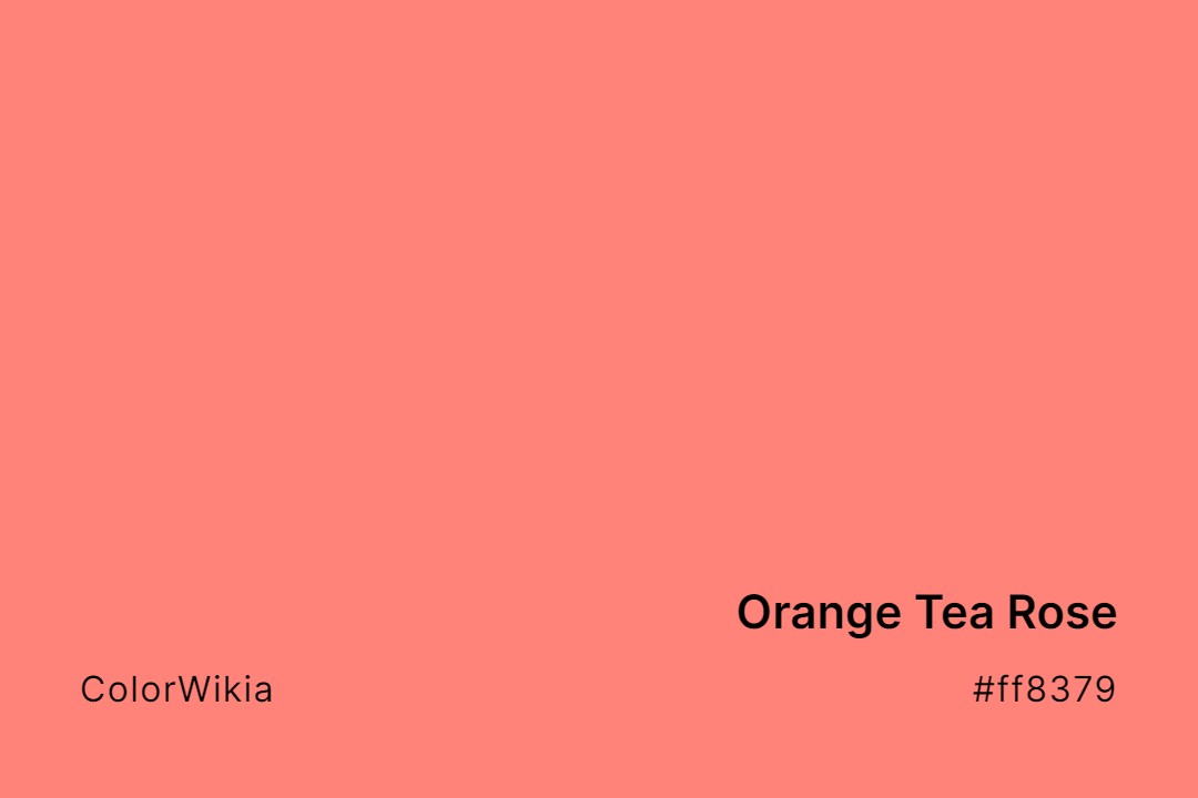 orange tea rose color ff8379